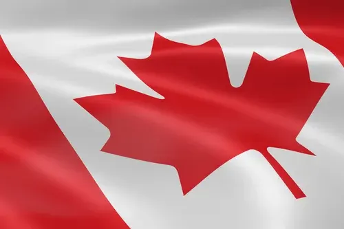 Ferro Silicon Supplier in Canada: Widely Praised & Trustworthy